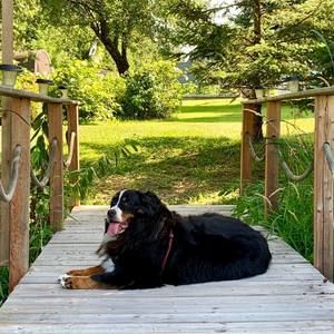 Meet your Posher, Wendy